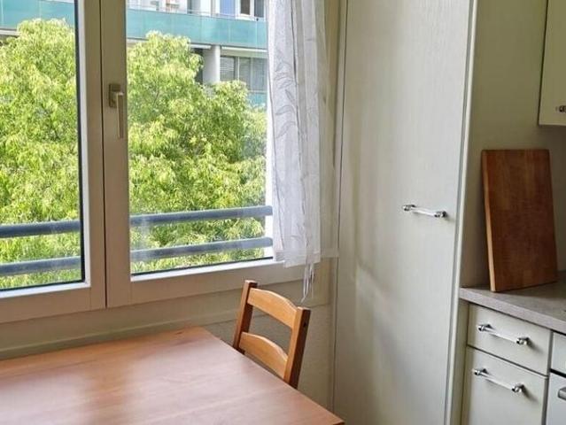 Furnished 4 room apartment in Plan les Ouates
