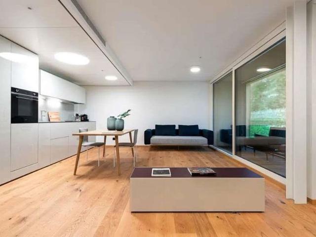 Furnished apartment for rent stabio