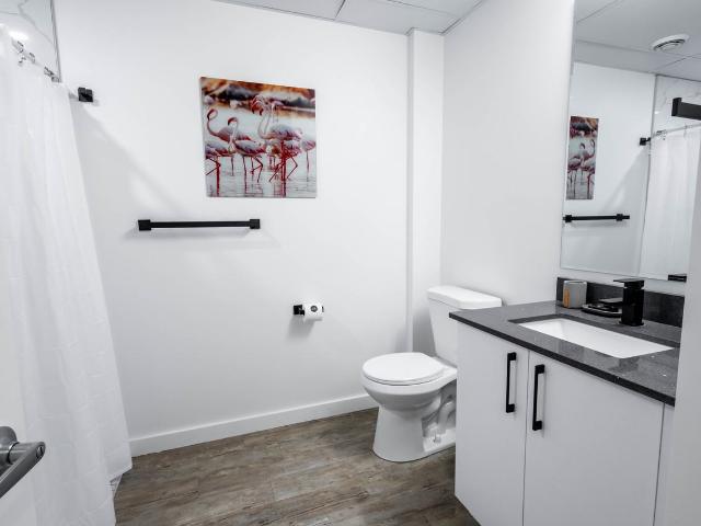 Furnished Apartment in Regina | Flexible Lease | Utilities Included 2 Bedroom Apartment for Rent at 1827 Albert St, Regina, SK S4P 2S9 Downtown Regina
