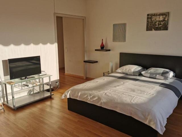 Furnished apartment with 1.5 rooms for rent in CHÊNE BOUGERIES 36 m² | dreamo. Ch