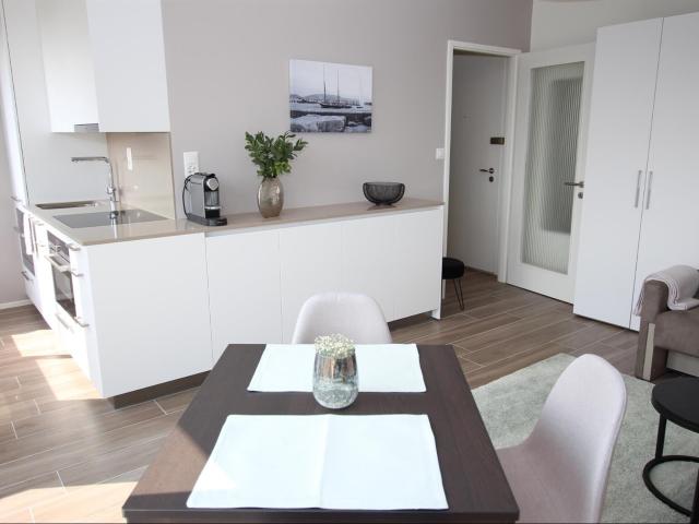 Furnished apartment with 1 room for rent in GENEVE Ref DOT16PA804 | dreamo. Ch