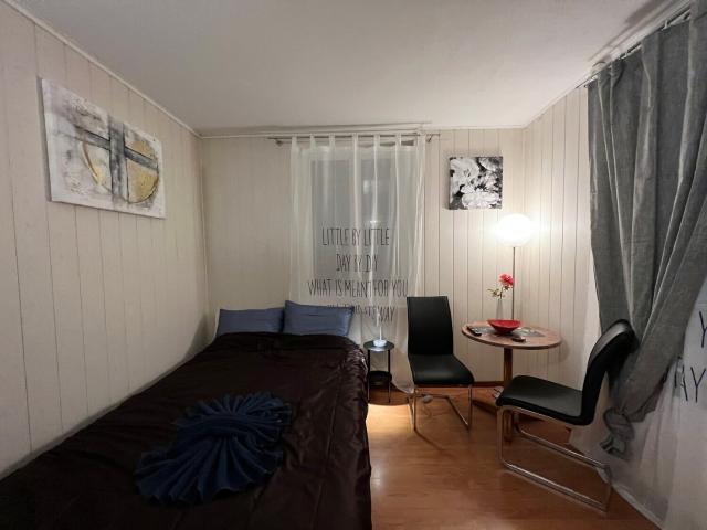 Furnished apartment with 1 room for rent in Wallisellen 16 m² | dreamo. Ch