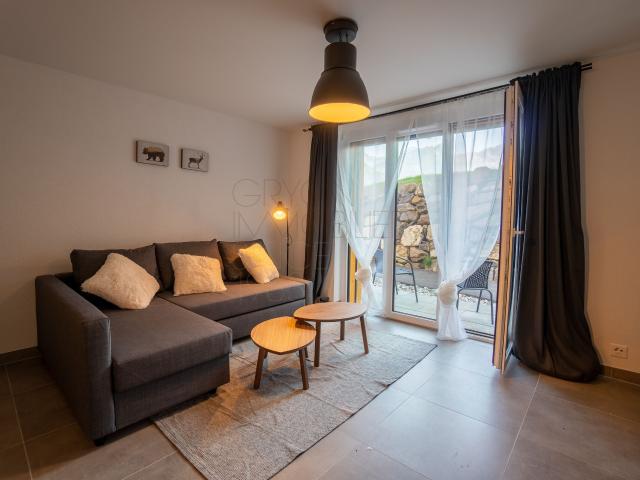 Furnished apartment with 2.5 rooms for rent in Gryon 50 m² | dreamo. Ch