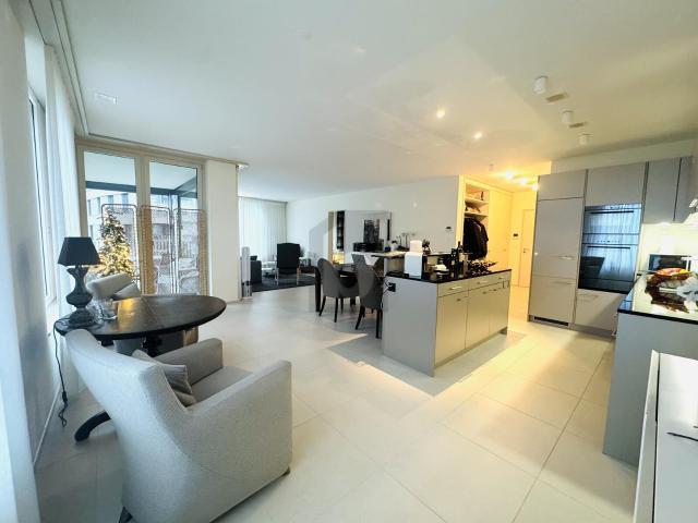 Furnished apartment with 2.5 rooms for rent in Luzern 94 m² | dreamo. Ch