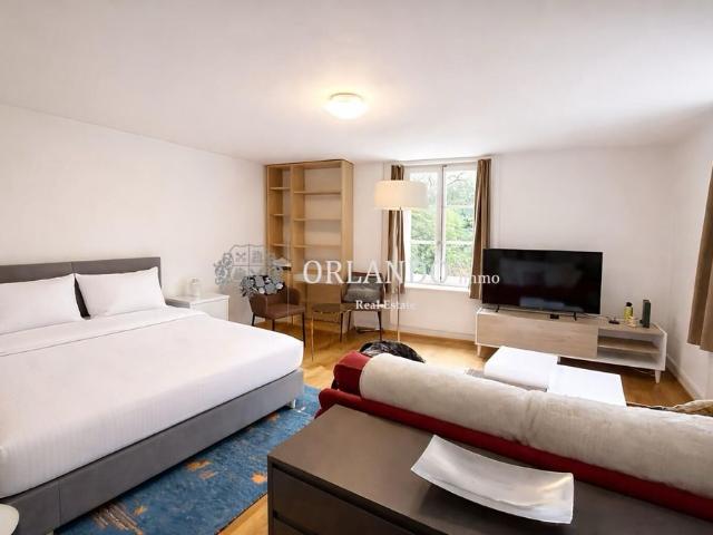 Furnished apartment with 2.5 rooms