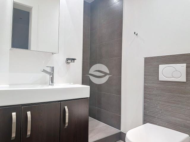 Furnished apartment with 6 rooms for rent in Genève 171 m² | dreamo. Ch