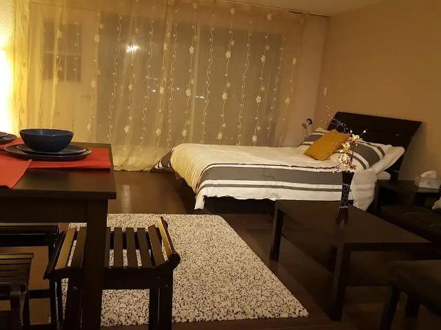 Furnished bachelor apartment