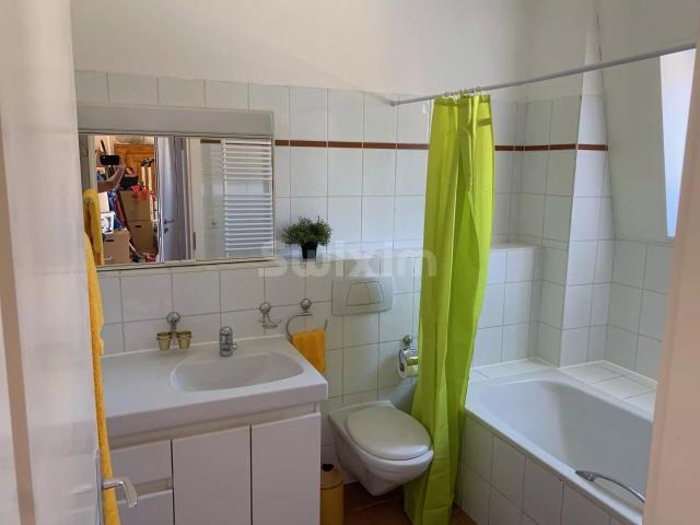 Furnished Duplex for Rent in Lausanne | dreamo. Ch