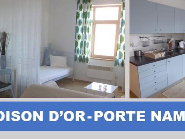 Furnished Flat Porte de Namur Toison d'Or Ixelles