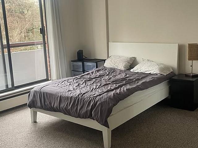 Furnished Studio Apartment Tower Building ‼️ In Downtown English