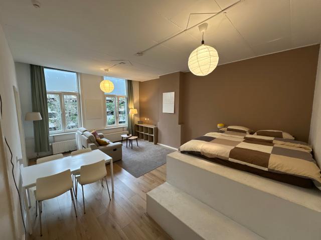 Furnished studio Witte de Withstraat, City Center