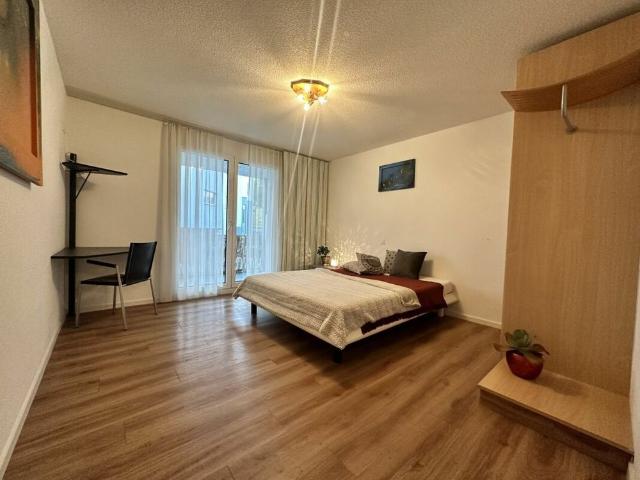 furnished studio / 1 room apartment near center