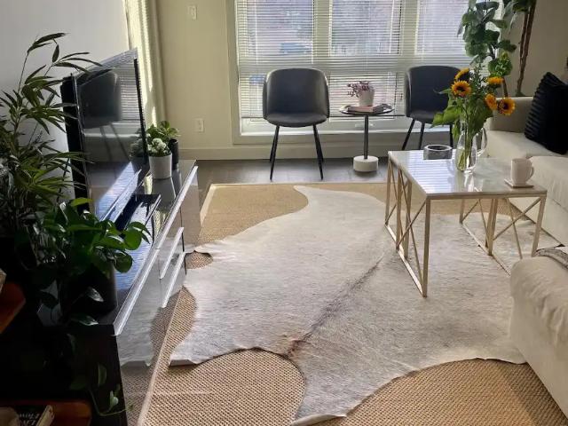 Furnished, Pet Friendly 2 Bedroom 2 Bathroom Condo By the University of Alberta
