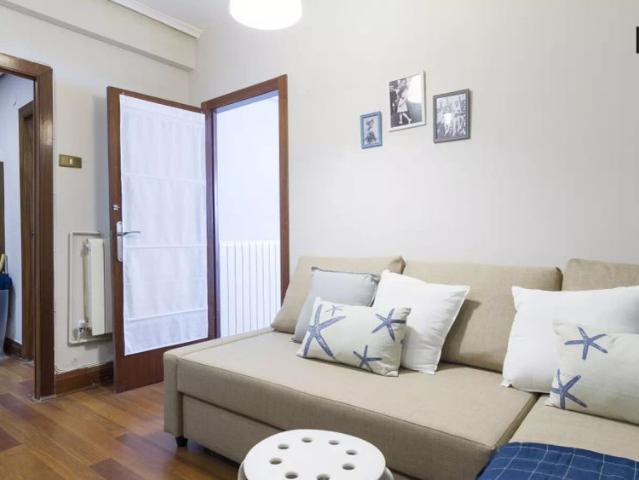 Furnished room in 4 bedroom apartment in Ibaiondo