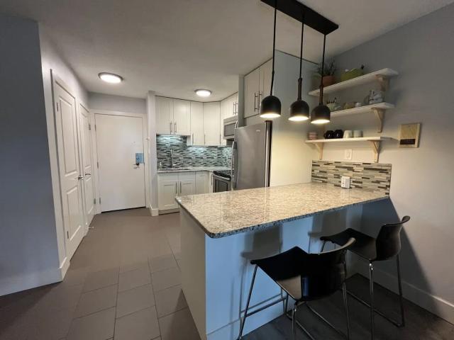 Furnished renovated beautiful studio