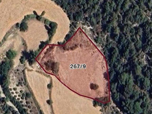 FÜSUN EMLAK'TAN YAKA KÖYÜN'DE 4.800 M2 MÜSTAKİL ARAZİ SATILIKTIR