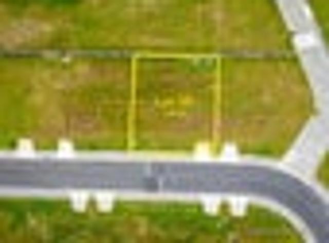 Future Focused Section in an Emerging Coastal Area