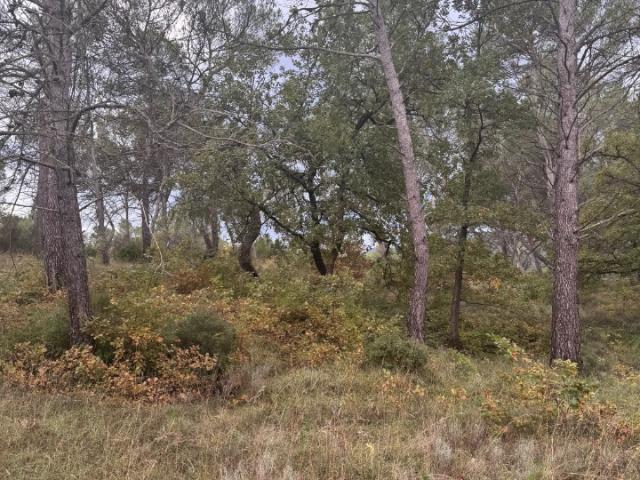 Fuveau Vente Terrain 13