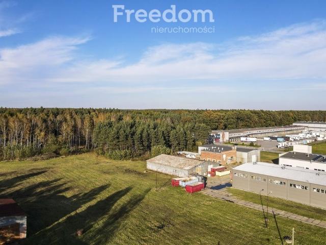 Głogów Małopolski, Pod Borem, 10 000 m2