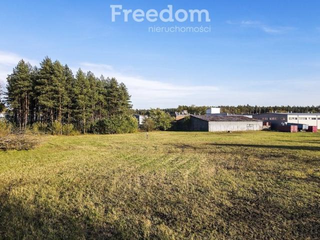 Głogów Małopolski, Pod Borem, 2 500 m2