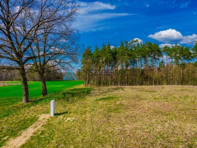 Łąg Kolonia, 1 135 m2