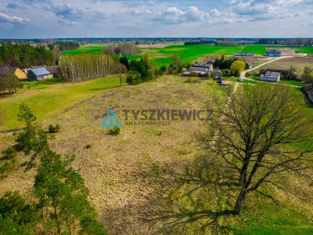 Łąg Kolonia, 1 173 m2