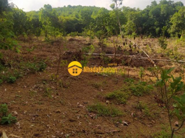 Gấp đất lương sơn, hòa bình 1,4ha, giá 7,5 tỷ