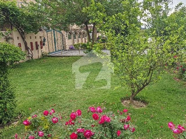 G 14/2 30x60 Plot All Dues Clear, For Sale