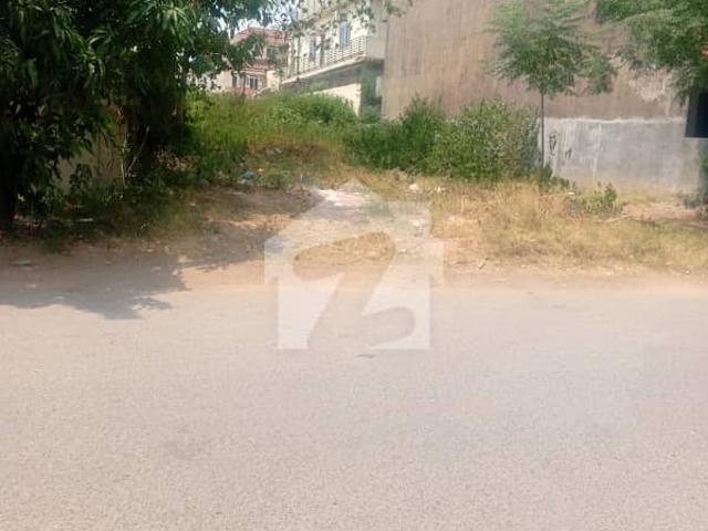 G 13/4, Street 149, 40x80 Ideal Location, Plot Is Available For Sale