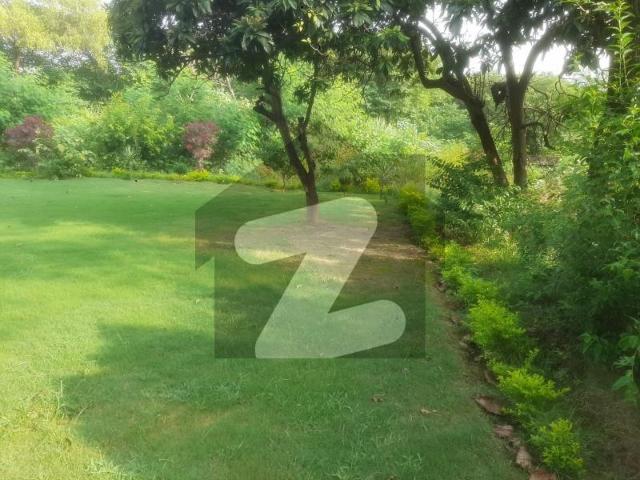 G 9/4 New Corner House With Extra Land Available G 9/4