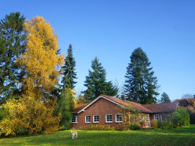 Ganz besonders und individuell! Großzügiger Bungalow mit Weitblick