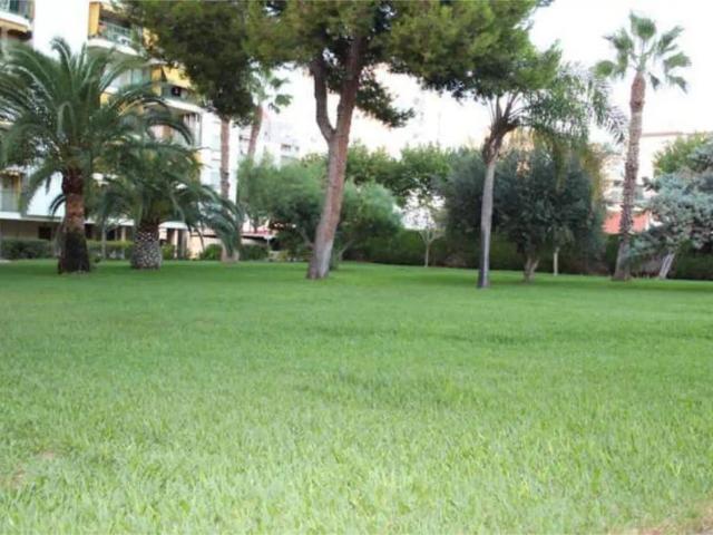 Gandia