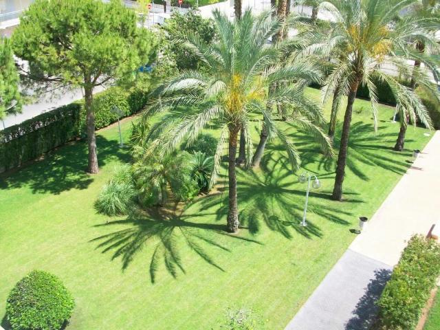 Gandia