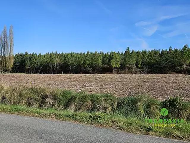 Gans 33430 Achat / Vente terrain