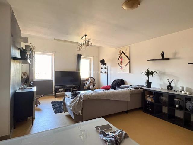 Gaillac hyper centre ville