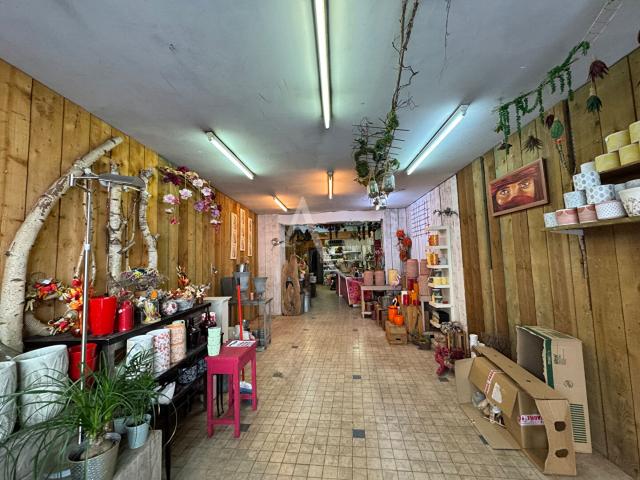 Gaillac Vente Immeuble 81
