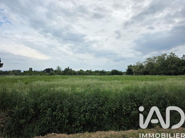 Gaillac Vente Terrain 81