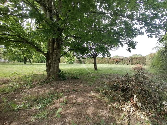 Gaillac Vente Terrain 81