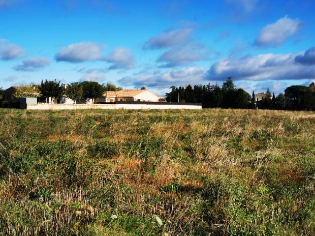 Gaillac Vente Terrain 81