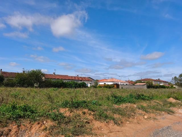 Gaillac Vente Terrain 81