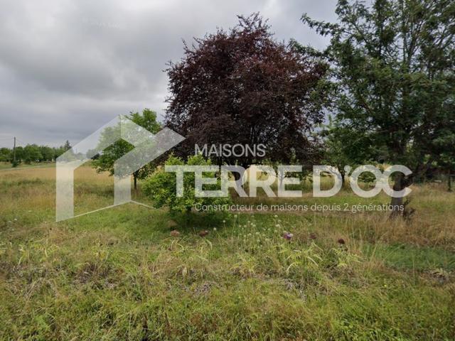 Gaillac Vente Terrain 81