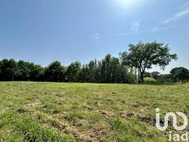 Gaillac 81600 Achat / Vente terrain