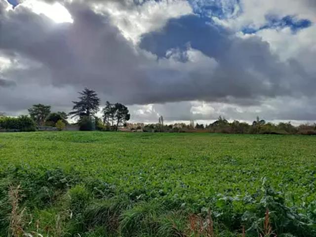 Gaillac 81600 Programme neuf terrain neuf à vendre