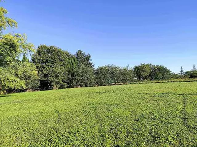 Gaillan en Médoc 33340 Programme neuf terrain neuf à vendre