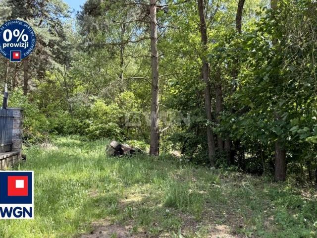 Gaj 1 730 m², Trzebinia