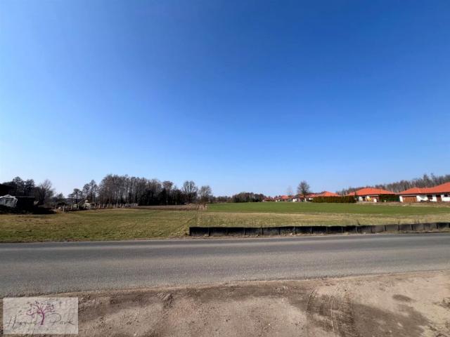 Gajcego 727 m², Łódź