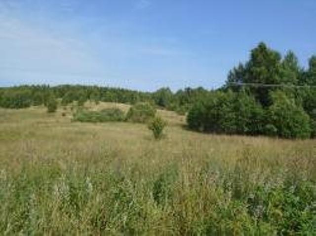 Działka 16 079 m² w Galwiecie – idealna pod inwestycję