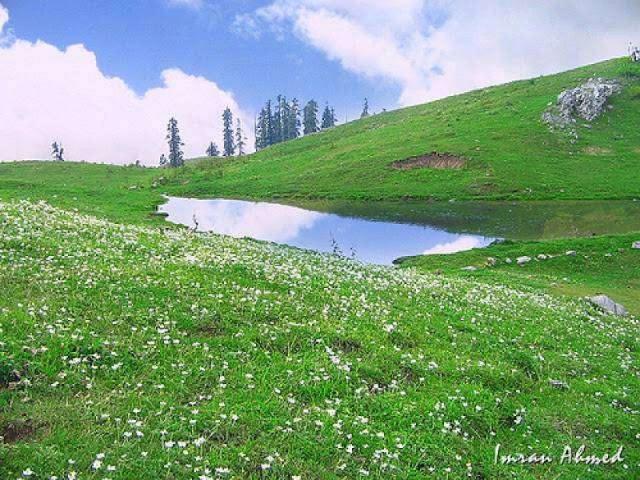 Galyaat land plots flates Abbottabad ID 15906