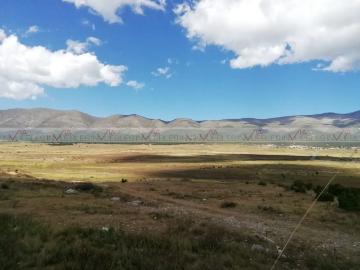 Galeana