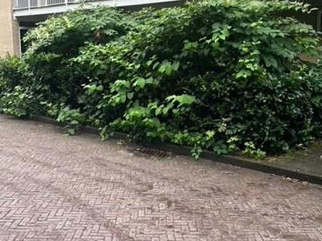 Galerijflat appartement te huur in Renkum